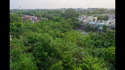The article highlights that the Pune Forest Department has identified over 30,000 hectares of reserve forest land, successfully reclaiming 20,000 hectares from the Revenue Department. (HT PHOTO) The article highlights that the Pune Forest Department has identified over 30,000 hectares of reserve forest land, successfully reclaiming 20,000 hectares from the Revenue Department. (HT PHOTO)