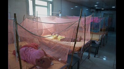 The dengue ward of Civil Hospital in Lucknow on Tuesday (Mushtaq Ali/HT) The dengue ward of Civil Hospital in Lucknow on Tuesday (Mushtaq Ali/HT)