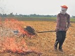 A farmer sets fire to paddy stubble after harvesting a paddy crop in the field in Amritsar, on Wednesday. (Sameer Sehgal/HT Photo) A farmer sets fire to paddy stubble after harvesting a paddy crop in the field in Amritsar, on Wednesday. (Sameer Sehgal/HT Photo)
