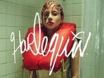Lady Gaga unveiled the album cover via Instagram.