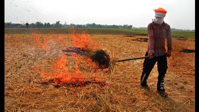 A farmer sets fire to paddy stubble after harvesting a crop in Amritsar on Wednesday. (HT Photo) A farmer sets fire to paddy stubble after harvesting a crop in Amritsar on Wednesday. (HT Photo)