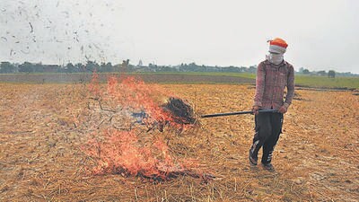 A farmer sets fire to paddy stubble after harvesting a paddy crop in the field, Amritsar on Wednesday. (Sameer Sehgal/HT)