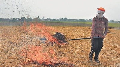 A farmer sets fire to paddy stubble after harvesting a paddy crop in the field in Amritsar, on Wednesday. (Sameer Sehgal/HT Photo)
