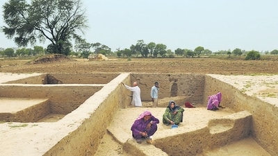 Excavation work at Rakhigarhi, an Indus Valley Civilisation site in Haryana. (Saumya Khandelwal/ HT Archive)