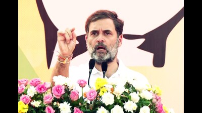Leader of Opposition in Lok Sabha Rahul Gandhi addresses an election meeting in Jammu. (ANI) Leader of Opposition in Lok Sabha Rahul Gandhi addresses an election meeting in Jammu. (ANI)