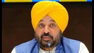 Punjab chief minister Bhagwant Mann (HT File)