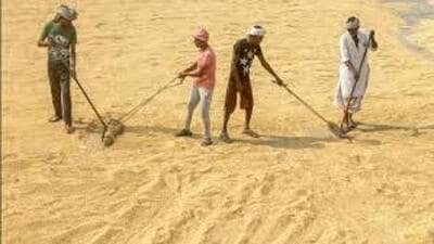 The Centre has granted Punjab authorisation of cash credit limit of  ₹41,339.81 crore for procurement of paddy up to end-October 2024. (HT File)