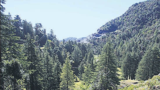 The clarifications came in response to a July query from the Union home ministry on guidelines for projects exempted under the Forest Conservation Amendment Act or Van (Sanrakshan Evam Samvardhan) Adhiniyam, 1980. (Wikimedia Commons)