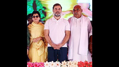Congress leader Rahul Gandhi, flanked by ex-CM Bhupinder Singh Hooda and Kumari Selja, during an election rally in the Assandh segment in Karnal on Thursday. (ANI) Congress leader Rahul Gandhi, flanked by ex-CM Bhupinder Singh Hooda and Kumari Selja, during an election rally in the Assandh segment in Karnal on Thursday. (ANI)