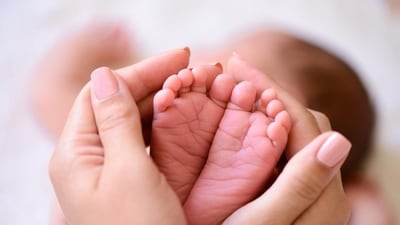 New findings suggest gestational carriers are at increased risk for severe complications during pregnancy. New findings suggest gestational carriers are at increased risk for severe complications during pregnancy.
