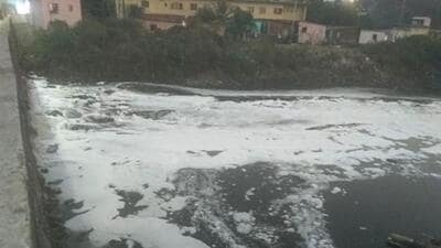 MPCB served notice to MIDC Kurkumbh on September 25 over alleged water pollution in the Kurkumbh area. ((PIC FOR REPRESENTATION))