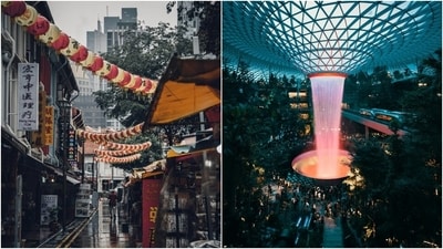 Singapore is ranked fifth on the Global Peace Index list. The country may be a global financial hub, but it is also home to the most amazing world heritage sites, a world-class airport with a waterfall view, luxurious malls, and incredible tourist destinations. Some must-visit places are Gardens by the Bay, Merlion Park, Buddha Tooth Relic Temple, Singapore Botanic Gardens, and the hawker centres for delicious street food. (Unsplash) Singapore is ranked fifth on the Global Peace Index list. The country may be a global financial hub, but it is also home to the most amazing world heritage sites, a world-class airport with a waterfall view, luxurious malls, and incredible tourist destinations. Some must-visit places are Gardens by the Bay, Merlion Park, Buddha Tooth Relic Temple, Singapore Botanic Gardens, and the hawker centres for delicious street food. (Unsplash)