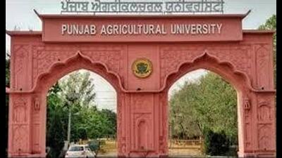 The Punjab Agricultural University. (HT File)