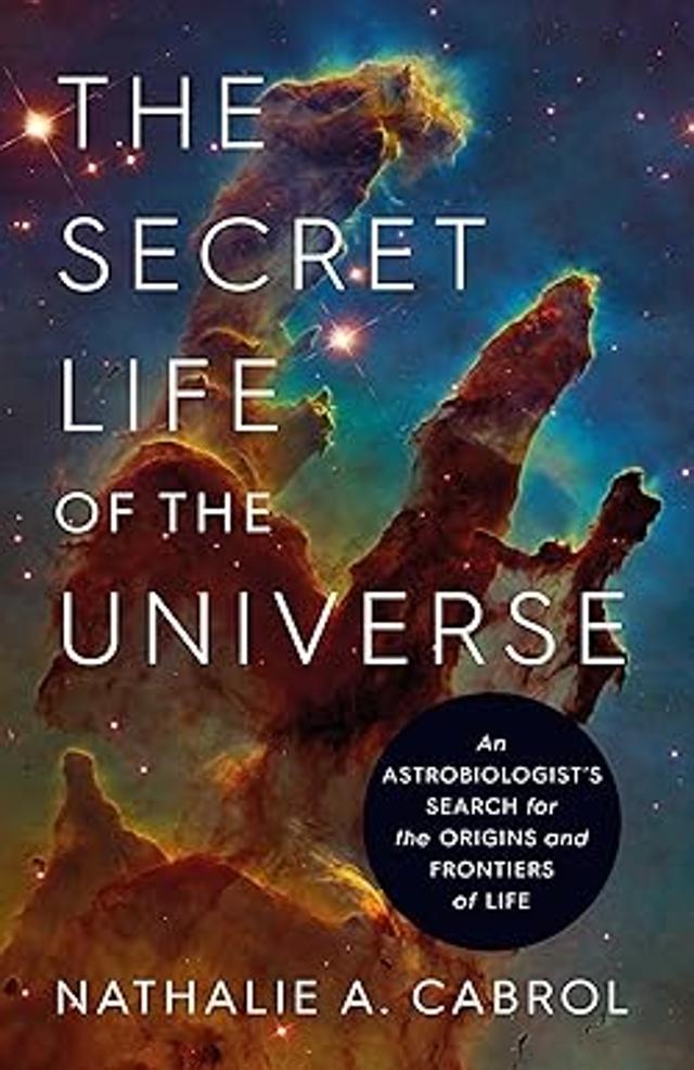 320pp, ₹799; Simon&Schuster 320pp, ₹799; Simon&Schuster