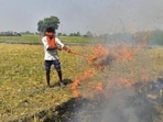 Stubble burning in states adjoining Delhi exacerbates air pollution during winter. (HT Archive) Stubble burning in states adjoining Delhi exacerbates air pollution during winter. (HT Archive)