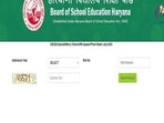 Haryana D.El.Ed July Result 2024 declared, direct link to check here 