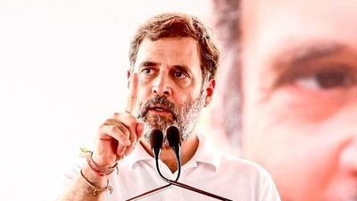Congress leader Rahul Gandhi (ANI Photo) (AICC) Congress leader Rahul Gandhi (ANI Photo) (AICC)