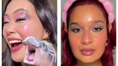 Beauty content creators have been recreating Moo Deng-inspired makeup on Instagram (Photos: Instagram)
