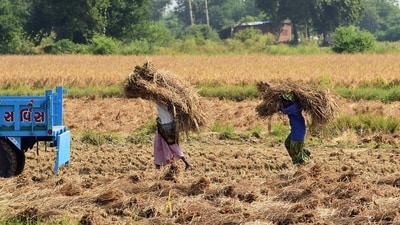 PM-Kisan Yojana offers ₹2,000 every four months to farmer families in India. The 18th installment is anticipated on October 5, 2024. Farmers need to complete mandatory eKYC through OTP, biometric, or face authentication methods to access benefits. PM-Kisan Yojana offers ₹2,000 every four months to farmer families in India. The 18th installment is anticipated on October 5, 2024. Farmers need to complete mandatory eKYC through OTP, biometric, or face authentication methods to access benefits.