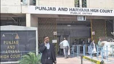 The Punjab and Haryana high court (HT File)
