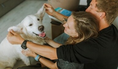 Dogs are little bundles of joy, keeping you both happy and healthy. (Pexels) Dogs are little bundles of joy, keeping you both happy and healthy. (Pexels)