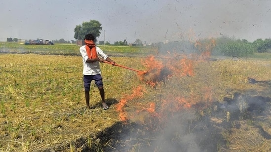 Stubble burning in states adjoining Delhi exacerbates air pollution during winter. (HT Archive)