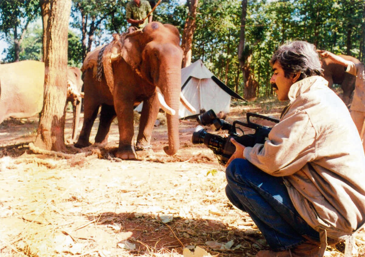 During the making of The Last Migration, which traced how deforestation drove a herd towards human settlements. The film won Pandey his first Green Oscar. (Image: Riverbank Studios) During the making of The Last Migration, which traced how deforestation drove a herd towards human settlements. The film won Pandey his first Green Oscar. (Image: Riverbank Studios)
