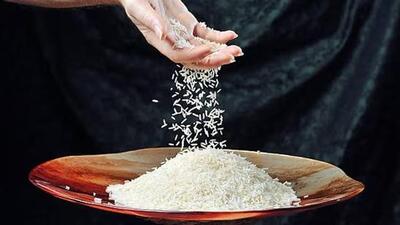 India is the world’s largest rice exporter, accounting for more than 40% of global rice shipments. (Representational image) India is the world’s largest rice exporter, accounting for more than 40% of global rice shipments. (Representational image)