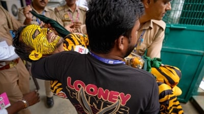 Bangladesh fan Tiger Robi being carried out of stadium during Day 1 of second Test (PTI) Bangladesh fan Tiger Robi being carried out of stadium during Day 1 of second Test (PTI)