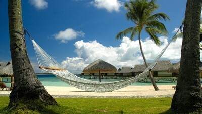 Tropical vacation away from the sweltering crowd feels like paradise. (Pexels) Tropical vacation away from the sweltering crowd feels like paradise. (Pexels)