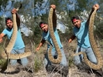 In viral video, a man grabbed a massive rattlesnake barehanded.