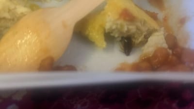 The cockroach was found inside the omelette served in Air India. (X) The cockroach was found inside the omelette served in Air India. (X)