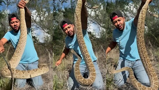 In viral video, a man grabbed a massive rattlesnake barehanded. (Instagram/nickthewrangler)