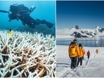As environmental changes accelerate, last-chance tourism has become a trending travel choice.  (Instagram)