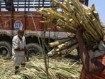 Maharashtra accounts for more than a third of India’s sugar output. HT Photo