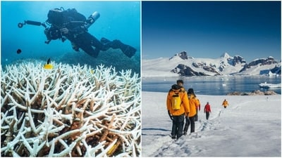 As environmental changes accelerate, last-chance tourism has become a trending travel choice. (Instagram) As environmental changes accelerate, last-chance tourism has become a trending travel choice. (Instagram)