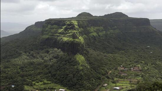 The draft notification listed 104 villages in Goa as ecologically sensitive. (AFP via Getty Images)