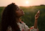 Best Fragrances for Women: Top 10 Long-Lasting and Affordable Perfumes