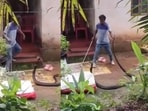 A viral video showed a man attempting to rescue a giant king cobra in Kerala.