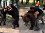A video emerged of Russian boxer wrestling a bear in the woods. A video emerged of Russian boxer wrestling a bear in the woods.