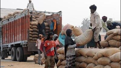 The government will purchase paddy from registered farmers at a rate of 21 quintals per acre on the support price. (File Photo) The government will purchase paddy from registered farmers at a rate of 21 quintals per acre on the support price. (File Photo)