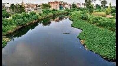 The plants had been dumping untreated wastewater into the Buddha Nullah in violation of environmental laws. (HT File)