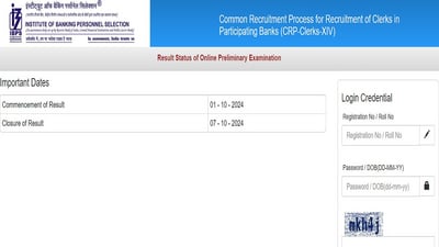 IBPS Clerk Prelims Result 2024 declared at ibps.in, direct link to check here IBPS Clerk Prelims Result 2024 declared at ibps.in, direct link to check here