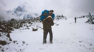Sherpas have lived in Nepal for over 500 years, migrating from Tibet to eastern Nepal. Over time, they have developed remarkable adaptations that allow them to thrive where others struggle. (Pixabay) Sherpas have lived in Nepal for over 500 years, migrating from Tibet to eastern Nepal. Over time, they have developed remarkable adaptations that allow them to thrive where others struggle. (Pixabay)