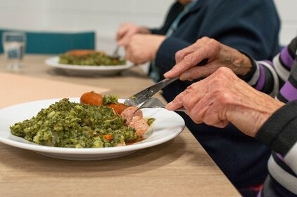 The diet of elderly people should be nutrient-dense (Pixabay) The diet of elderly people should be nutrient-dense (Pixabay)