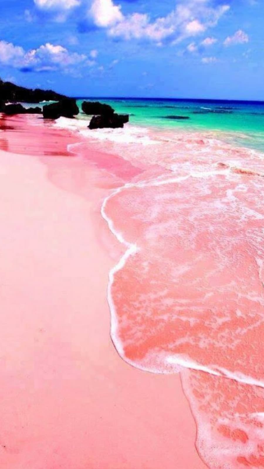 Pink Beahch 5 amazing pink beaches that will take your breath away | Hindustan Times