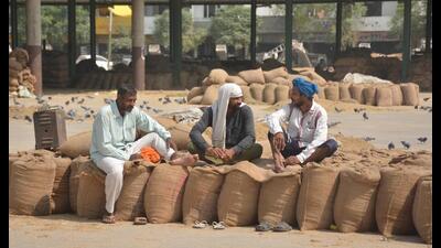 Labourers in Bhagtanwala grain market of Amritsar amid strike by commission agents (arhtiyas), labourers and millers, on Wednesday. (Sameer Sehgal/HT) Labourers in Bhagtanwala grain market of Amritsar amid strike by commission agents (arhtiyas), labourers and millers, on Wednesday. (Sameer Sehgal/HT)