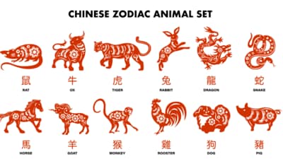 Read the Chinese Horoscope October 2024 for all zodiac signs. (Freepik)