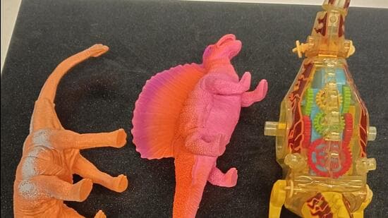 Family not allowed to carry kid’s dinosaur toy at Pune airport. (HT PHOTO)