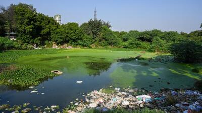 The pond in Sultanpur village in Noida that is set to be developed as tourist spots. The authority said it will also construct parking lots and walkways for the convenience of visitors. (Sunil Ghosh/HT Photo) The pond in Sultanpur village in Noida that is set to be developed as tourist spots. The authority said it will also construct parking lots and walkways for the convenience of visitors. (Sunil Ghosh/HT Photo)
